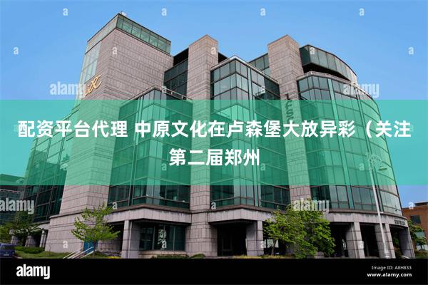 配资平台代理 中原文化在卢森堡大放异彩（关注第二届郑州