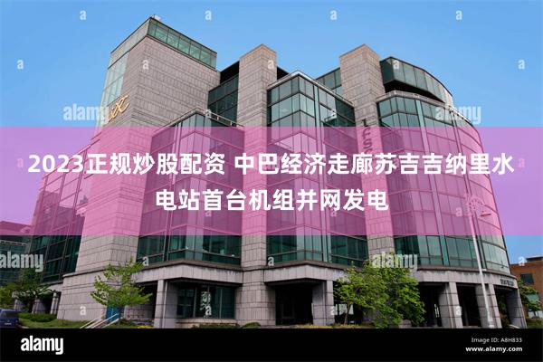 2023正规炒股配资 中巴经济走廊苏吉吉纳里水电站首台机组并网发电