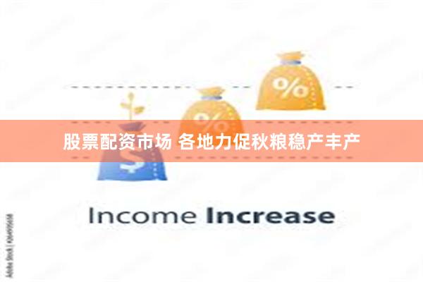 股票配资市场 各地力促秋粮稳产丰产
