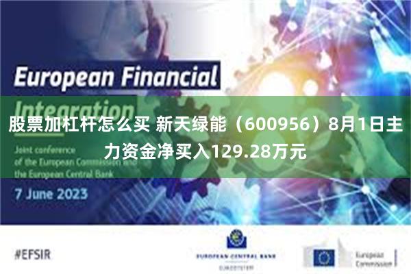 股票加杠杆怎么买 新天绿能（600956）8月1日主力资金净买入129.28万元