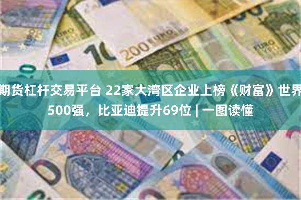 期货杠杆交易平台 22家大湾区企业上榜《财富》世界500强，比亚迪提升69位 | 一图读懂