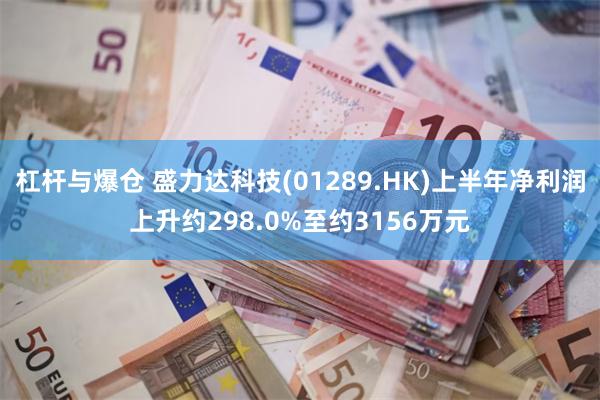 杠杆与爆仓 盛力达科技(01289.HK)上半年净利润上升约298.0%至约3156万元