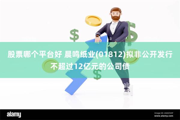 股票哪个平台好 晨鸣纸业(01812)拟非公开发行不超过12亿元的公司债