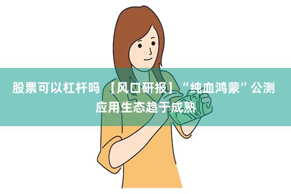 股票可以杠杆吗 【风口研报】“纯血鸿蒙”公测 应用生态趋于成熟
