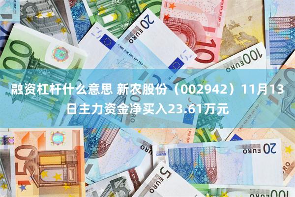 融资杠杆什么意思 新农股份（002942）11月13日主力资金净买入23.61万元