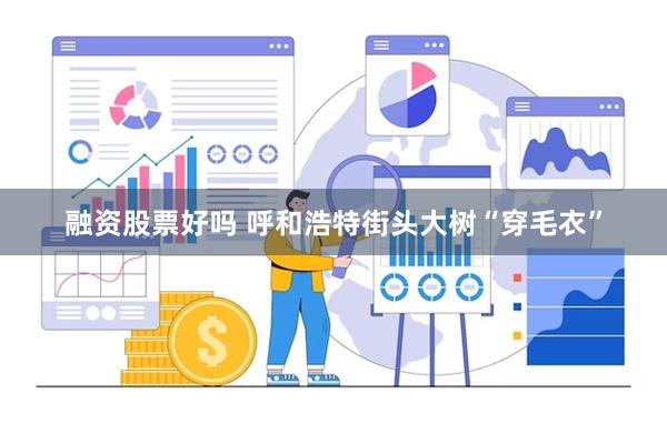 融资股票好吗 呼和浩特街头大树“穿毛衣”