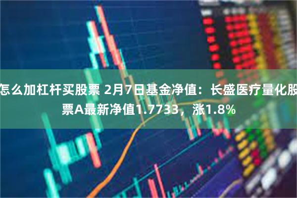 怎么加杠杆买股票 2月7日基金净值：长盛医疗量化股票A最新净值1.7733，涨1.8%