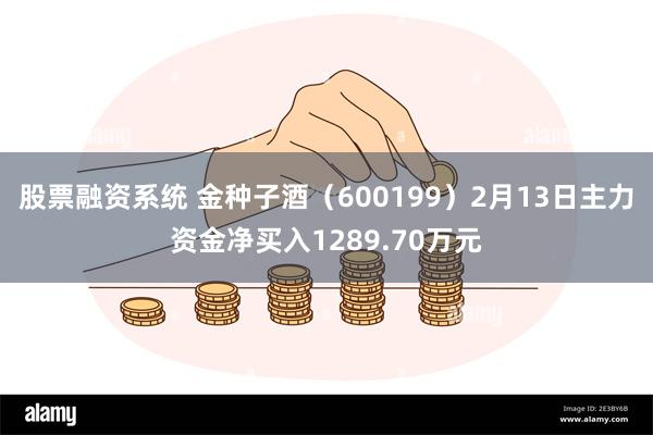 股票融资系统 金种子酒（600199）2月13日主力资金净买入1289.70万元