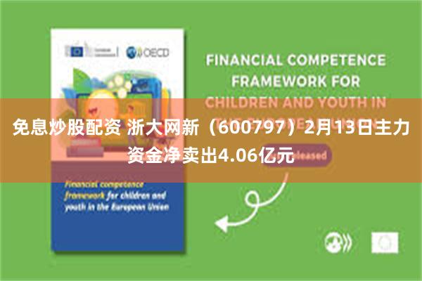 免息炒股配资 浙大网新（600797）2月13日主力资金净卖出4.06亿元