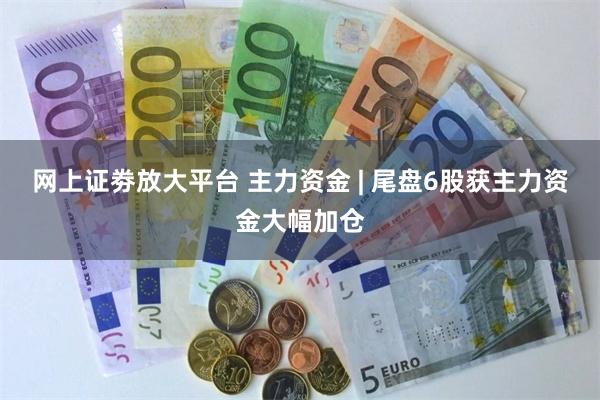 网上证劵放大平台 主力资金 | 尾盘6股获主力资金大幅加仓