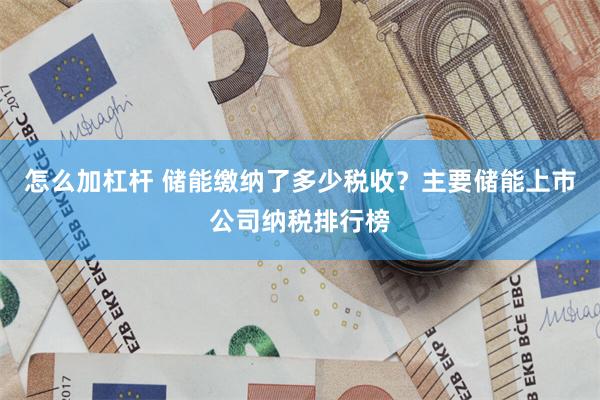 怎么加杠杆 储能缴纳了多少税收？主要储能上市公司纳税排行榜