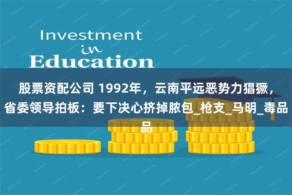 股票资配公司 1992年，云南平远恶势力猖獗，省委领导拍板：